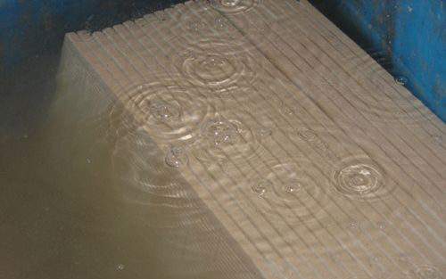 青青草色情网站