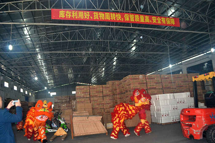 激情AV青青草陶新年开工，2017撸起袖子拼命干！