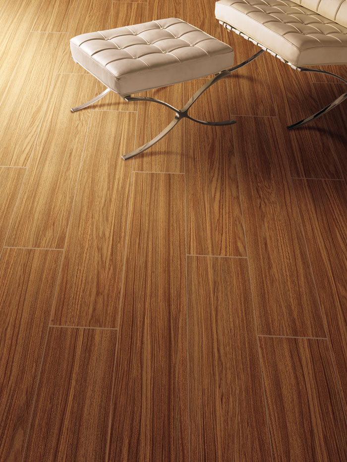 最美，不过当阳光遇上森林