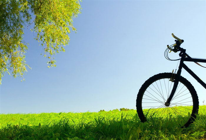 即便是春风十里，依然不如你